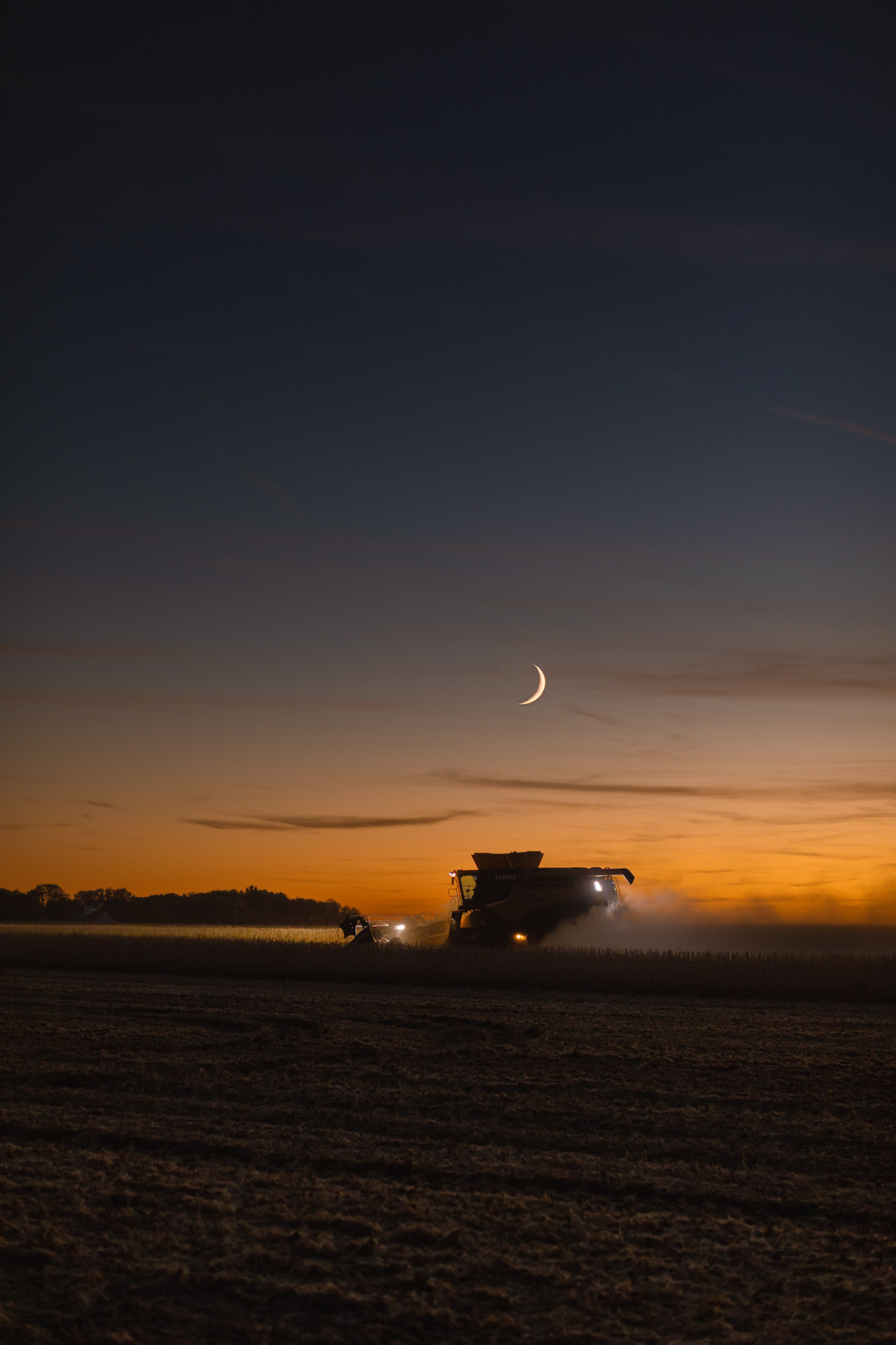 Lindsey Nelson Linden Township