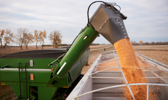 Adobestock 179578685