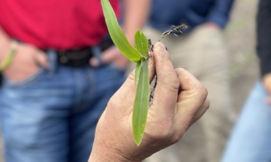 20240517 Lc Mosaic30 1