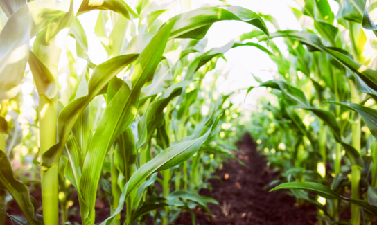 Shutterstock 444821332