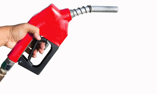 Shutterstock 532275460