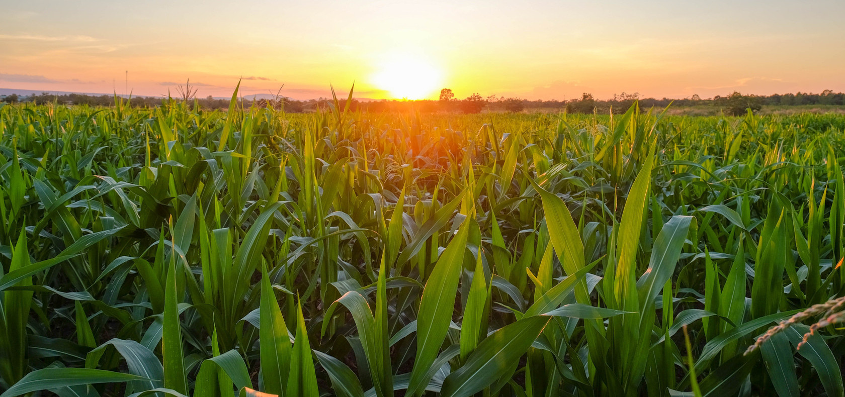 Shutterstock 759269881